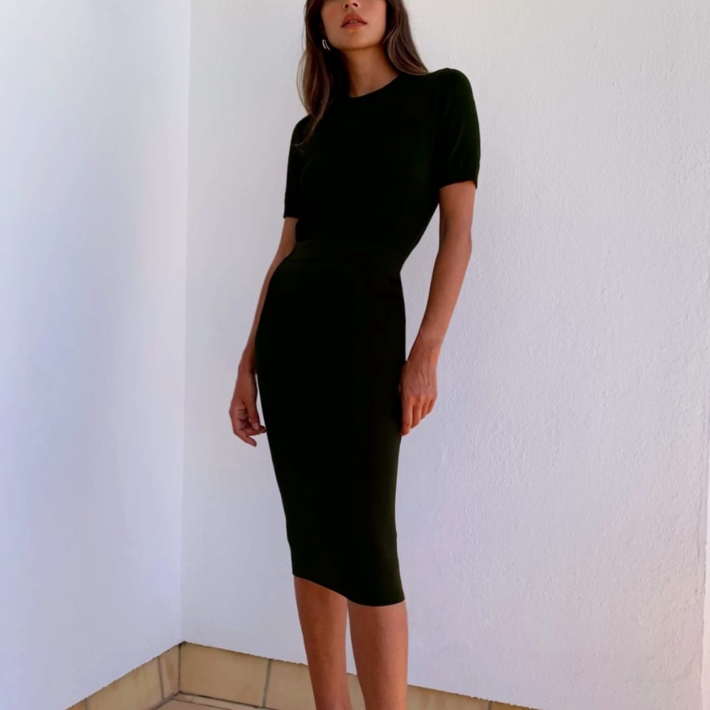 Aritzia Babaton Midi Bodycon Skirt - size S